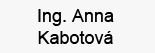 ing anna kabotova